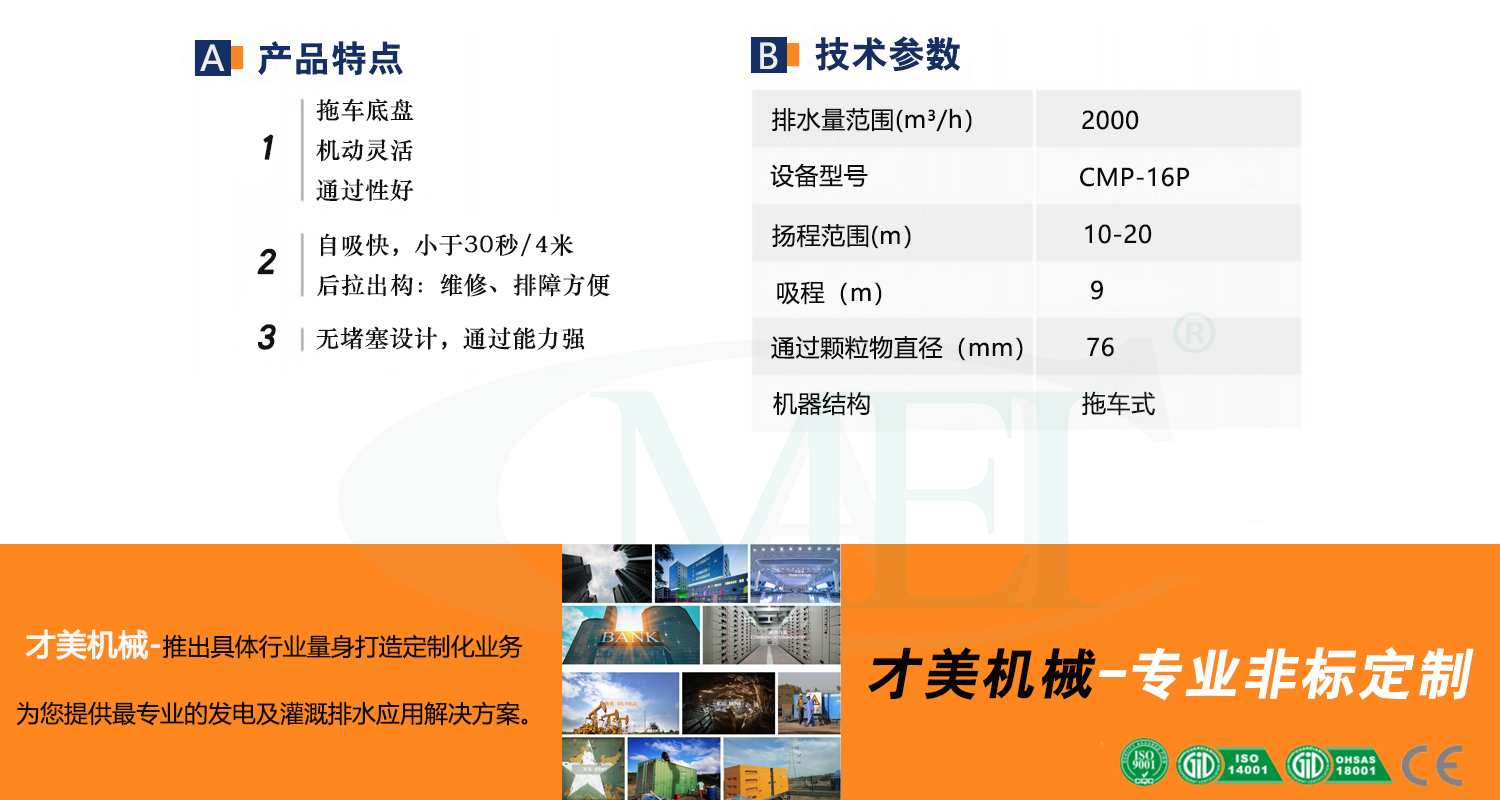 P16.jpg